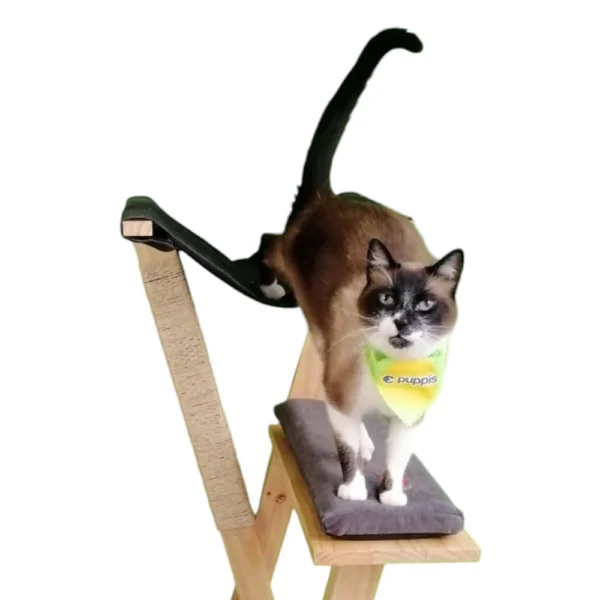 Gimnasio para gato en Madera 3 niveles
