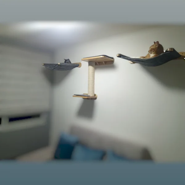 hamaca de pared gimnasio para gatos