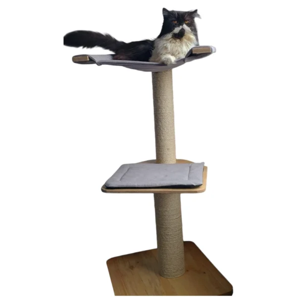Gimnasio en torre rascador de gatos Escaladores sencillo