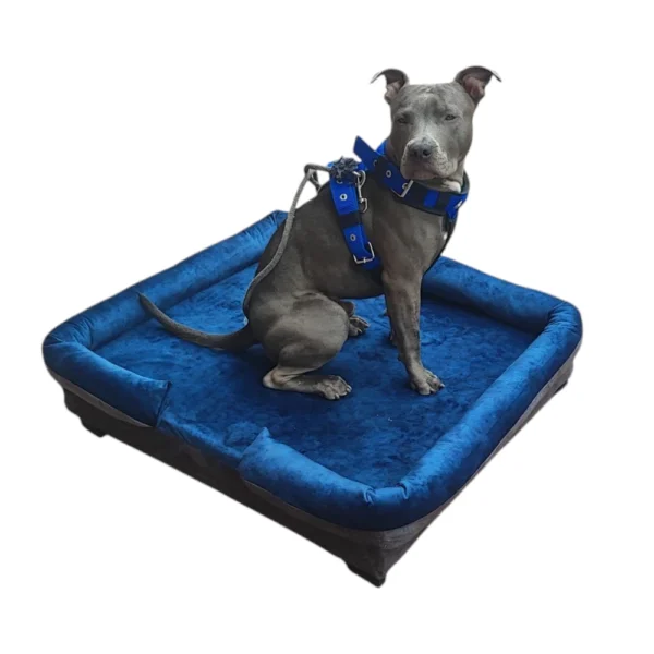CAMA PARA PERRO O GATO ELEMENTAL
