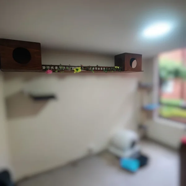 GIMNASIO PARA GATOS PARED COLOSO