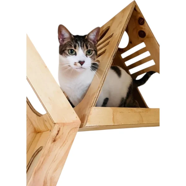 gimnasio para gatos pared combo sutil