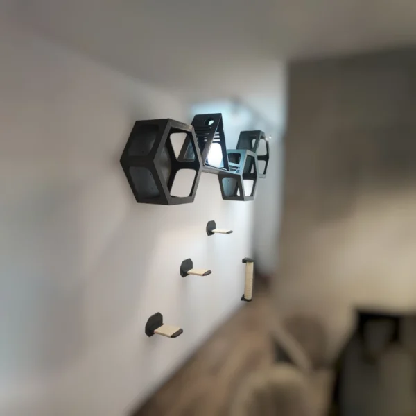 combo astutos gimnasio para gatos pared
