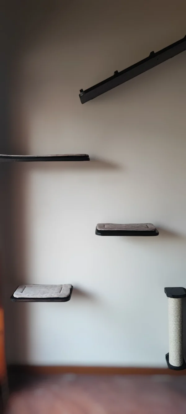 combo sutil gimnasio para gatos pared